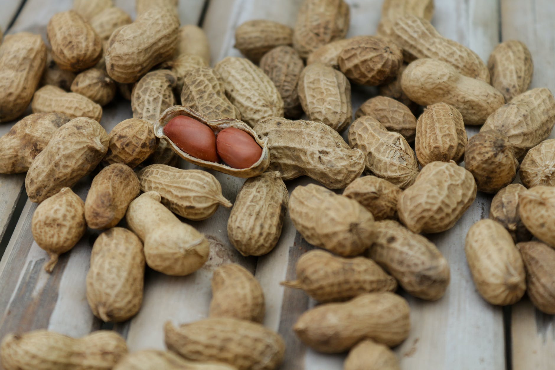 Everything you need to know about food allergy