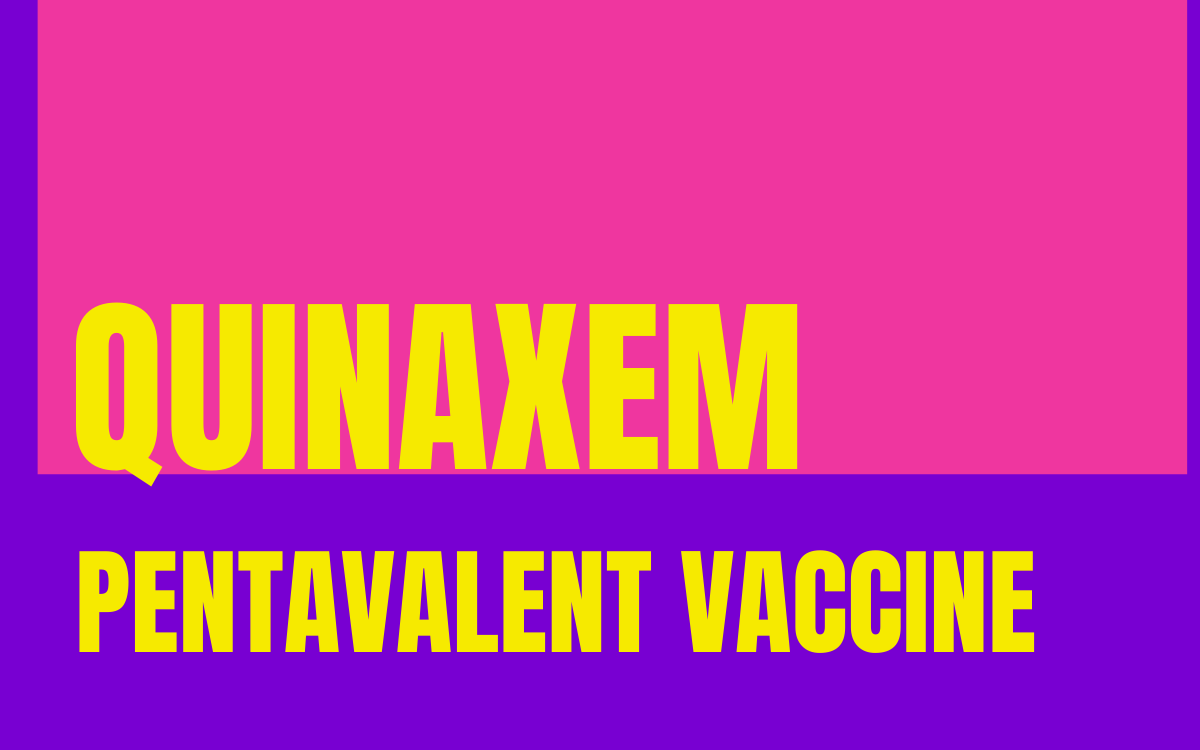 Quinaxem: Pentavalent Vaccine (DPT+HiB-Hepatitis B)