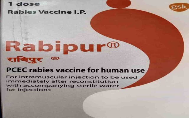 Rabipur is inactivated rabies virus vaccine given pre-exposure or post-exposure prophylaxis to prevent rabies disease given im or id.