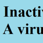 VAQTA: Inactivated Hepatitis A vaccine