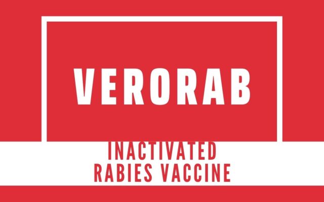 Verorab Inactivated rabies virus vaccine
